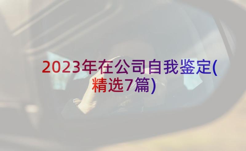 2023年在公司自我鉴定(精选7篇)