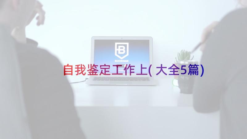 自我鉴定工作上(大全5篇)