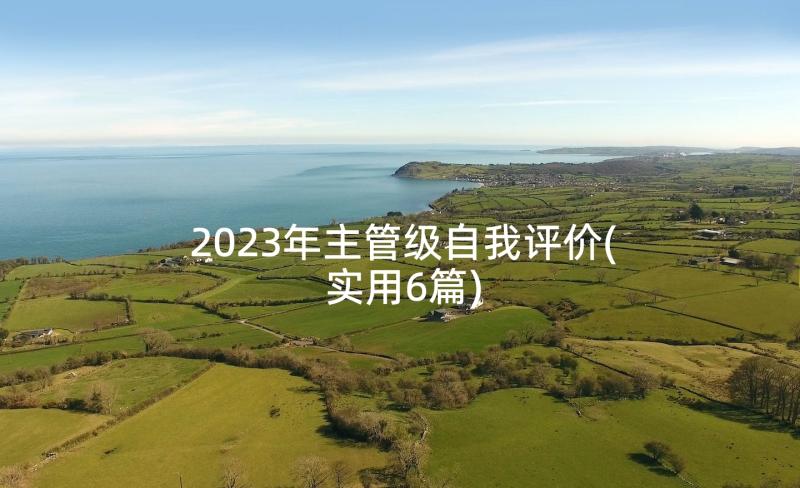 2023年主管级自我评价(实用6篇)