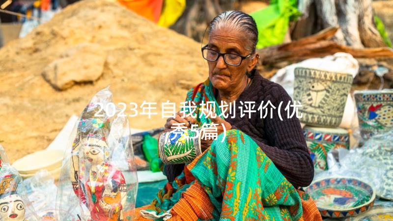 2023年自我规划评价(优秀5篇)