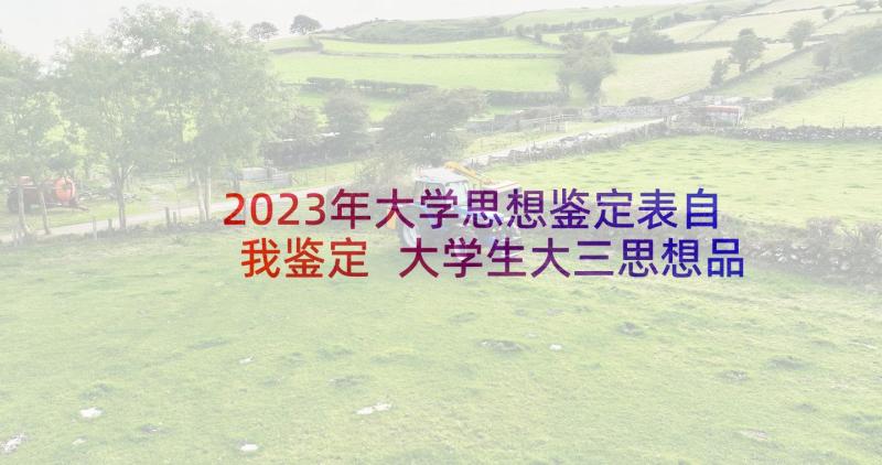 2023年大学思想鉴定表自我鉴定 大学生大三思想品德自我鉴定(大全6篇)