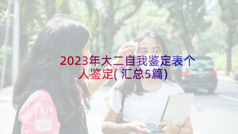 2023年大二自我鉴定表个人鉴定(汇总5篇)