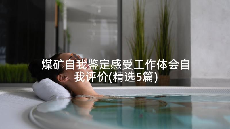 煤矿自我鉴定感受工作体会自我评价(精选5篇)