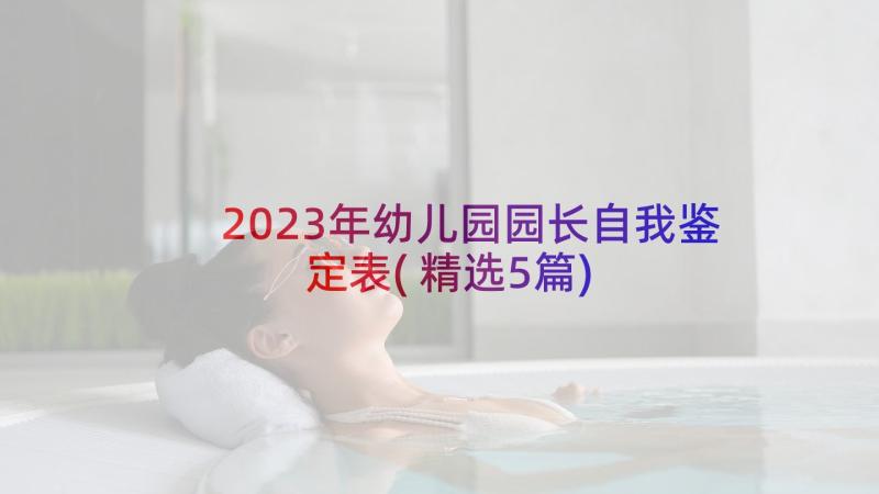 2023年幼儿园园长自我鉴定表(精选5篇)