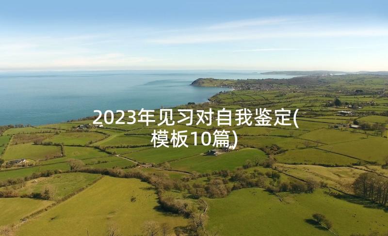 2023年见习对自我鉴定(模板10篇)