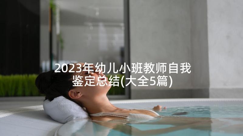 2023年幼儿小班教师自我鉴定总结(大全5篇)