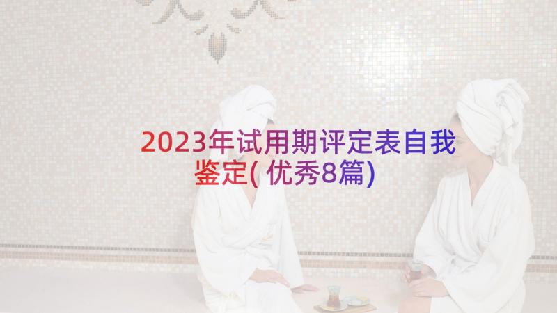 2023年试用期评定表自我鉴定(优秀8篇)