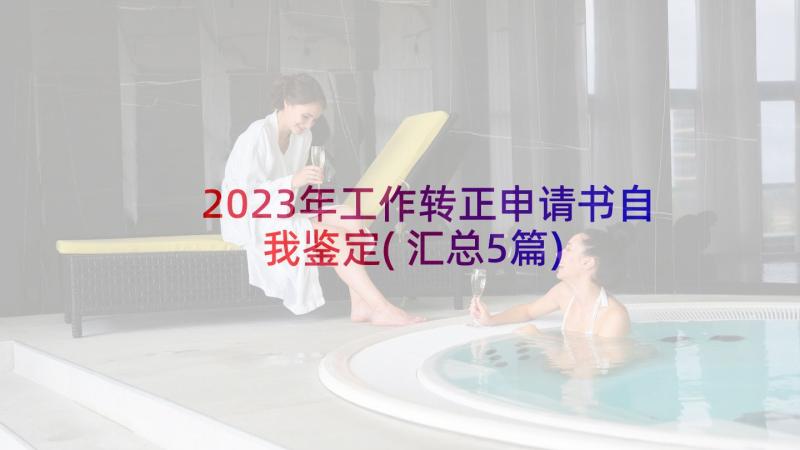 2023年工作转正申请书自我鉴定(汇总5篇)