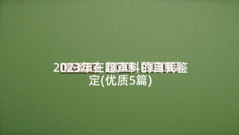 2023年在超声科的自我鉴定(优质5篇)