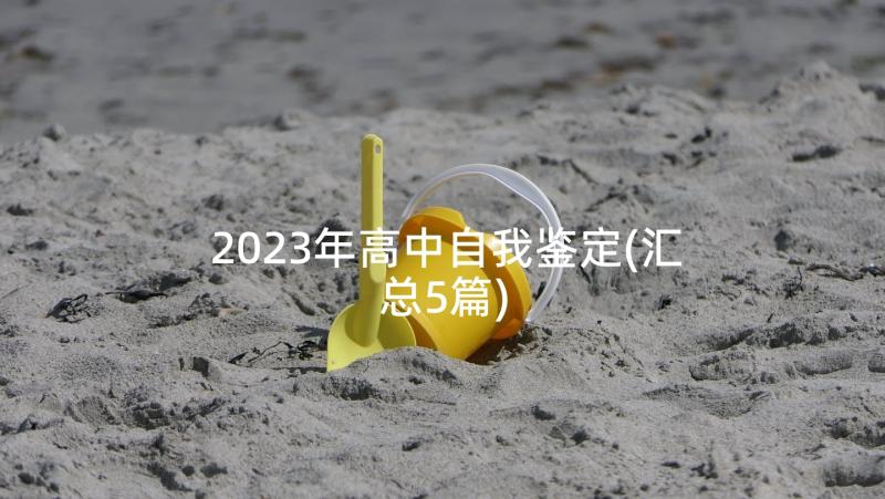 2023年高中自我鉴定(汇总5篇)