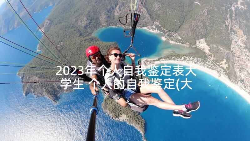 2023年个人自我鉴定表大学生 个人的自我鉴定(大全5篇)