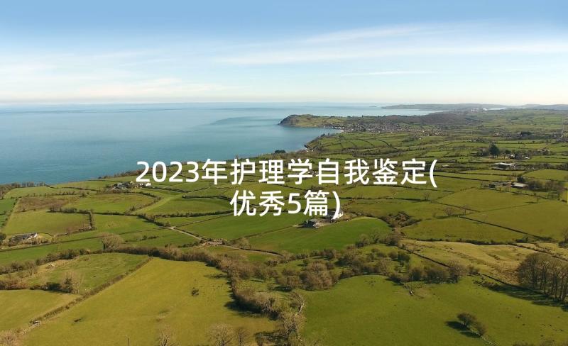 2023年护理学自我鉴定(优秀5篇)