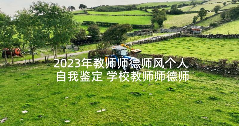 2023年教师师德师风个人自我鉴定 学校教师师德师风自我鉴定(精选5篇)