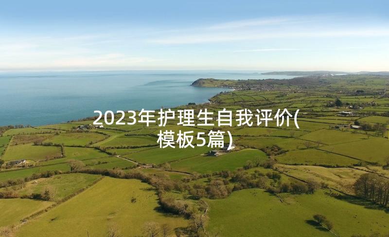 2023年护理生自我评价(模板5篇)