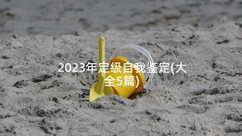 2023年定级自我鉴定(大全5篇)