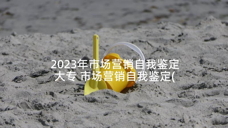 2023年市场营销自我鉴定大专 市场营销自我鉴定(优质5篇)