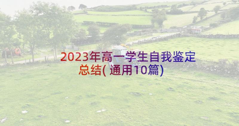 2023年高一学生自我鉴定总结(通用10篇)