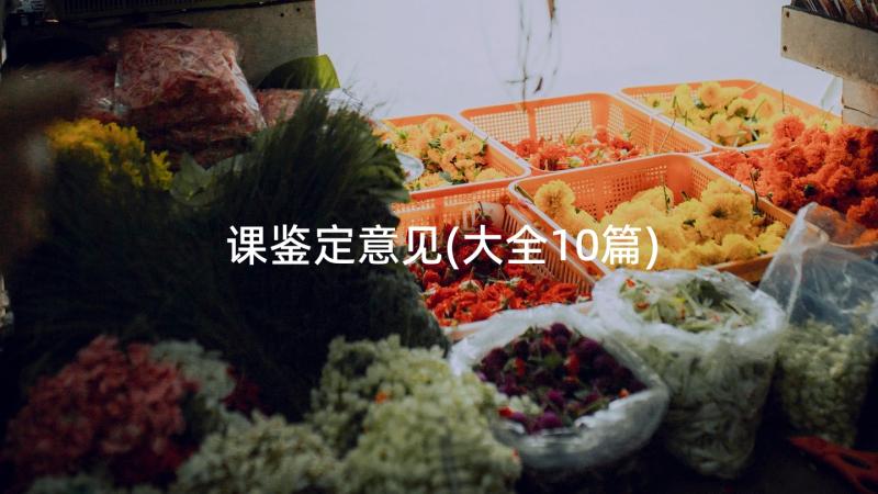 课鉴定意见(大全10篇)