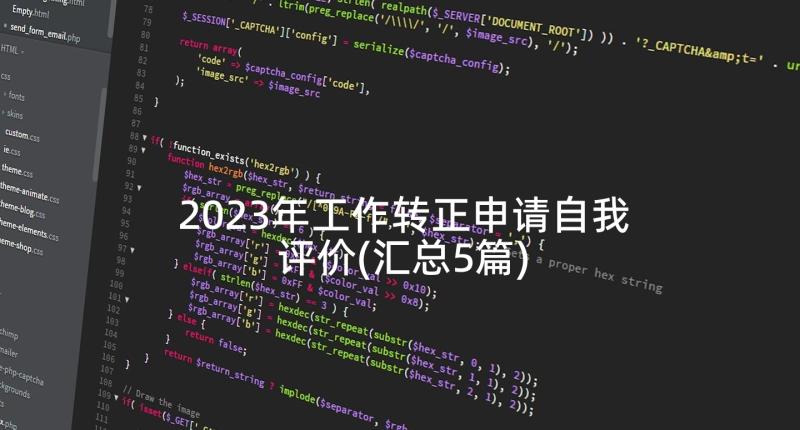 2023年工作转正申请自我评价(汇总5篇)