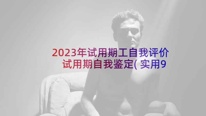 2023年试用期工自我评价 试用期自我鉴定(实用9篇)