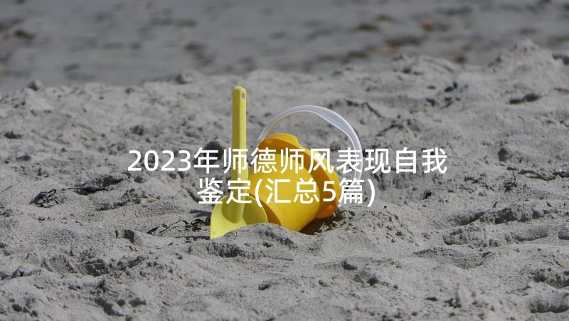 2023年师德师风表现自我鉴定(汇总5篇)