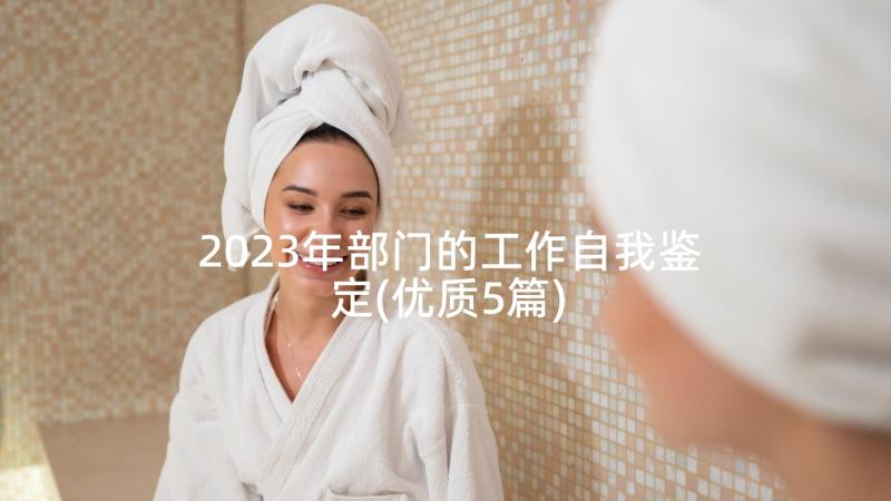 2023年部门的工作自我鉴定(优质5篇)