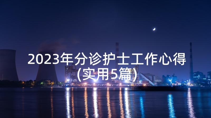 2023年分诊护士工作心得(实用5篇)