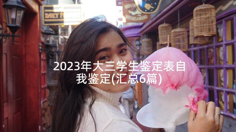 2023年大三学生鉴定表自我鉴定(汇总6篇)