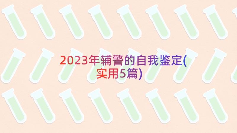 2023年辅警的自我鉴定(实用5篇)