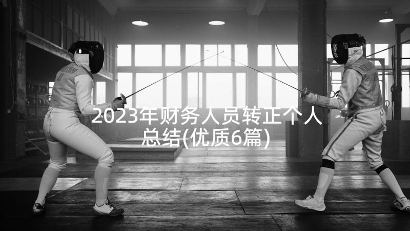 2023年财务人员转正个人总结(优质6篇)