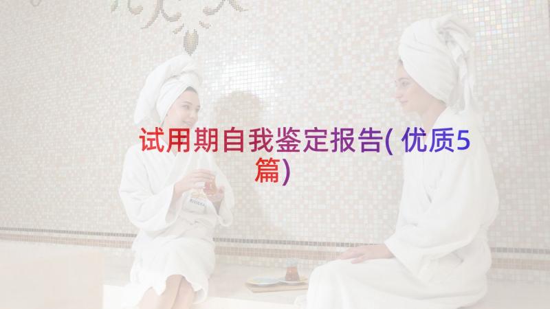 试用期自我鉴定报告(优质5篇)