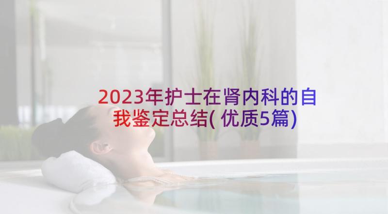 2023年护士在肾内科的自我鉴定总结(优质5篇)