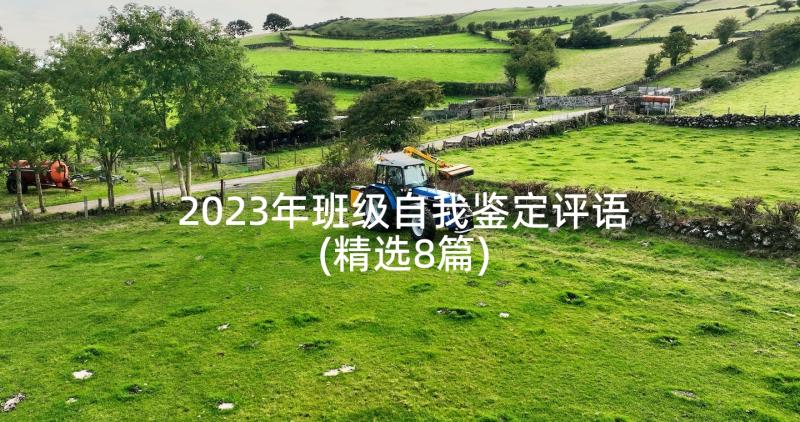 2023年班级自我鉴定评语(精选8篇)