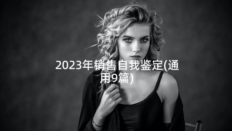 2023年销售自我鉴定(通用9篇)