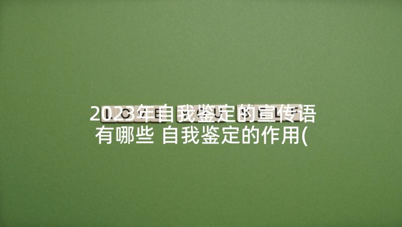 2023年自我鉴定的宣传语有哪些 自我鉴定的作用(汇总9篇)