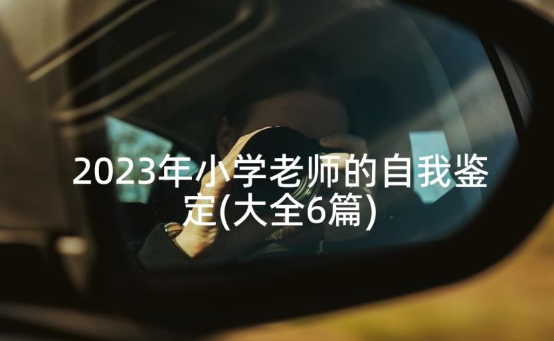 2023年小学老师的自我鉴定(大全6篇)