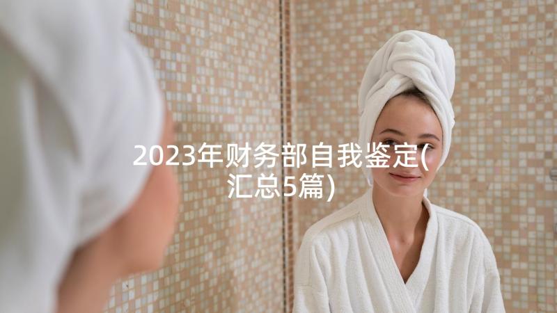 2023年财务部自我鉴定(汇总5篇)