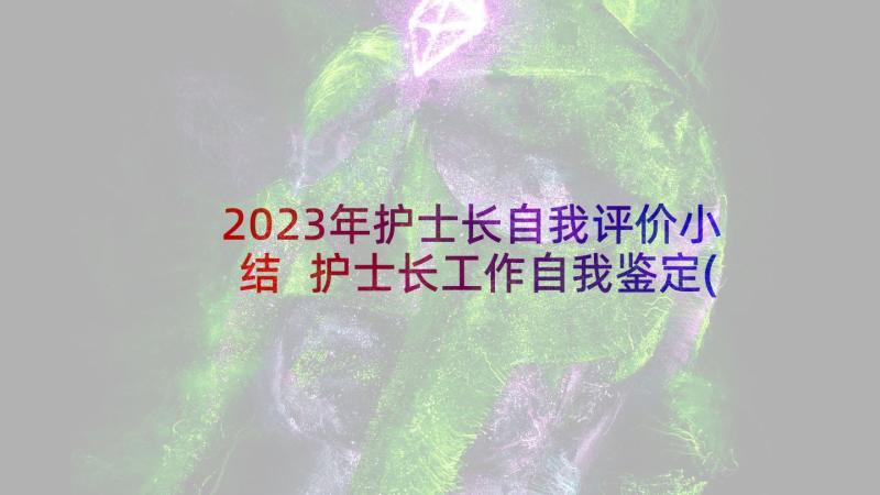 2023年护士长自我评价小结 护士长工作自我鉴定(精选6篇)