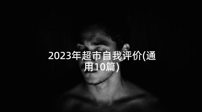 2023年超市自我评价(通用10篇)