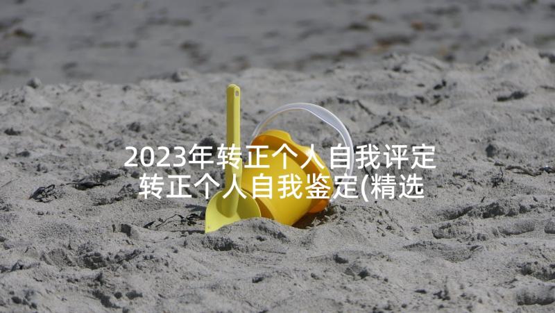 2023年转正个人自我评定 转正个人自我鉴定(精选5篇)