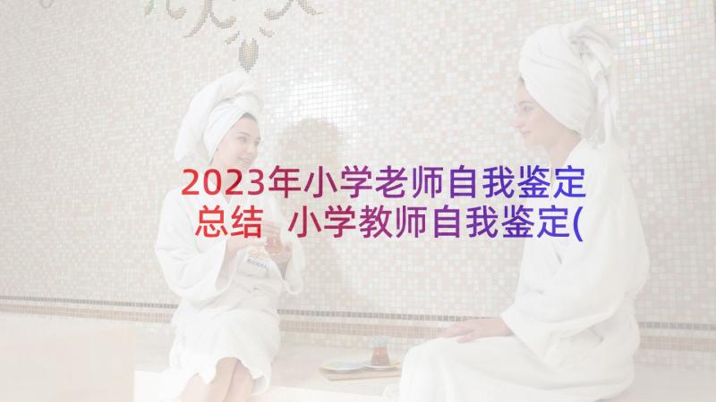 2023年小学老师自我鉴定总结 小学教师自我鉴定(实用6篇)