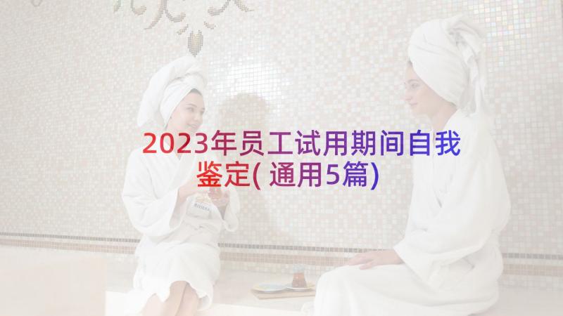 2023年员工试用期间自我鉴定(通用5篇)