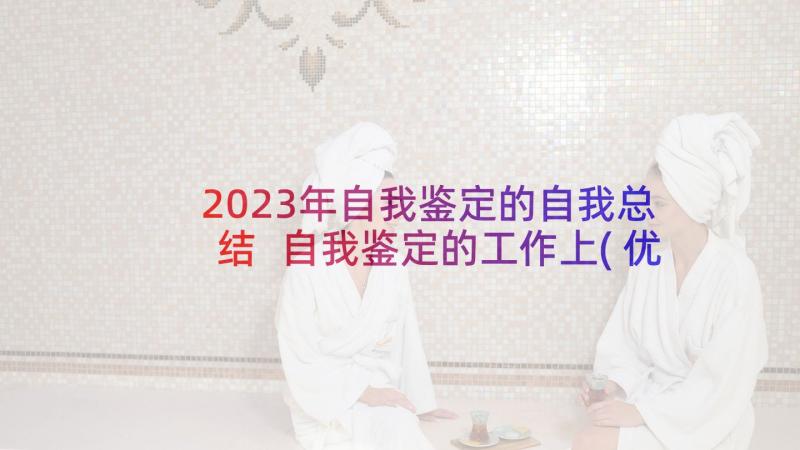 2023年自我鉴定的自我总结 自我鉴定的工作上(优质10篇)