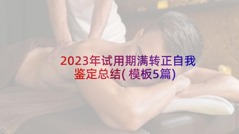 2023年试用期满转正自我鉴定总结(模板5篇)