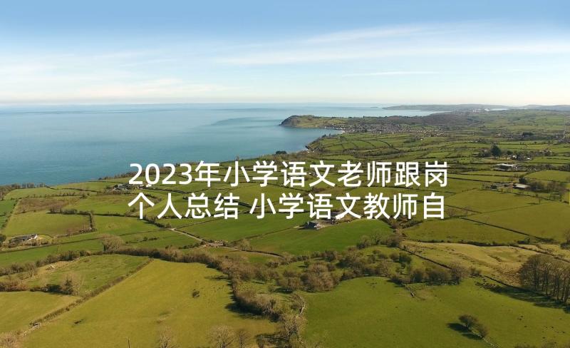 2023年小学语文老师跟岗个人总结 小学语文教师自我鉴定(模板6篇)