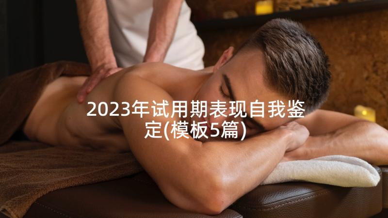 2023年试用期表现自我鉴定(模板5篇)