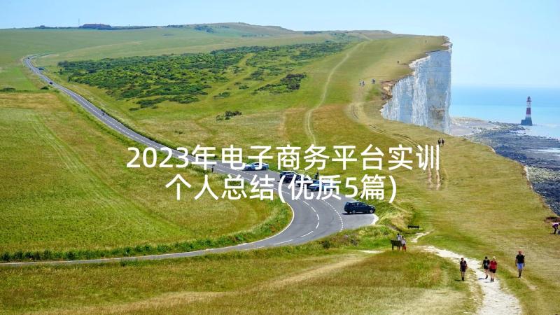 2023年电子商务平台实训个人总结(优质5篇)