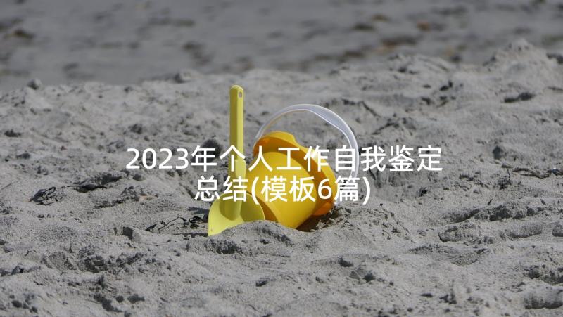 2023年个人工作自我鉴定总结(模板6篇)