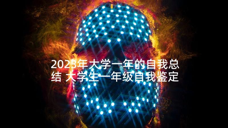 2023年大学一年的自我总结 大学生一年级自我鉴定的(优质5篇)