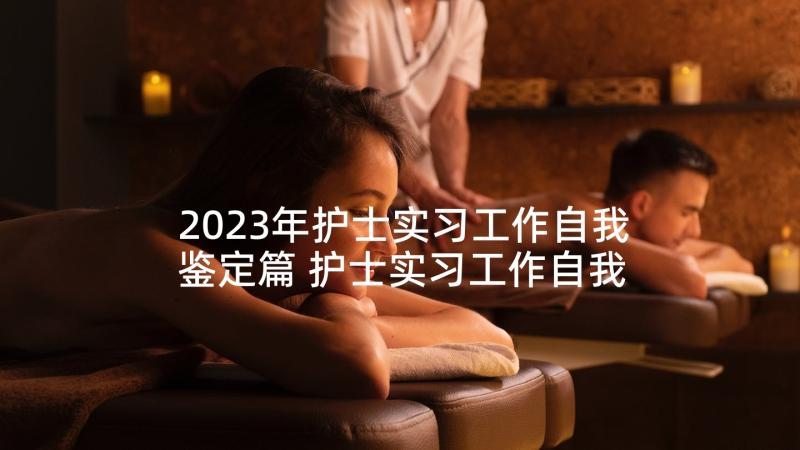 2023年护士实习工作自我鉴定篇 护士实习工作自我鉴定(大全7篇)